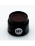 Gel Color vernice 697
