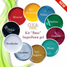 Starter Kit SuperPaint Gels
